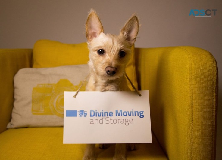 Divine Moving and Storage NYC