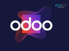    Best Odoo Implementation and Consulting Partner | Oodu Implementers