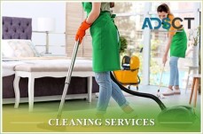 Big Green Cleaning Services