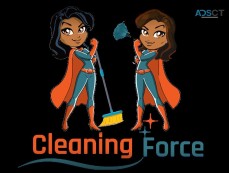 Cleaning Force