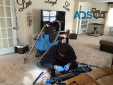 Sunbird Upholstery Cleaning