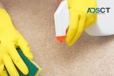 Alex's Philadelphia Cleaning Services - Carpet Cleaning Service Philadelphia PA