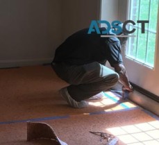 Philadelphia Carpet Cleaning PA