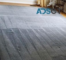 Philadelphia Carpet Cleaning PA