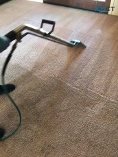 Center City Philadelphia Carpet Care