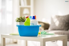 Philadelphia House Cleaning Maid