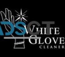 White Glove Cleaner