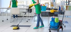 Professional cleaning services