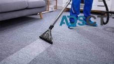 S&N Upholstery & Carpet Cleaning Services INC.