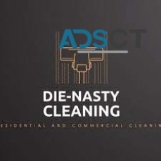 Die-Nasty Cleaning Services