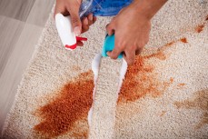 Organic Carpet Cleaners