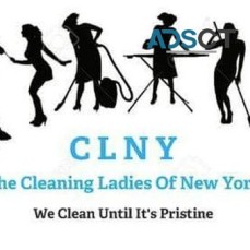 The Cleaning Ladies of New York