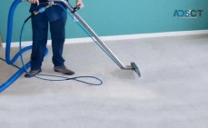 GREEN Carpet Cleaning Service New York