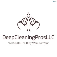 Deep Cleaning Pros LLC