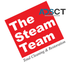 The Steam Team