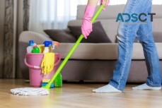 Professional Cleaning Services