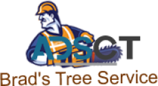 Brad's Tree Service