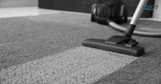 Baymist Carpet Cleaning