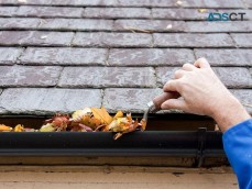 Gutter cleaning services-isl Pro