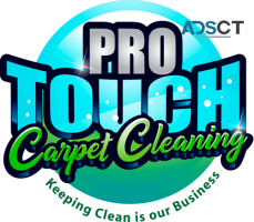 Carpet Cleaning Pro-Touch & House Cleaning