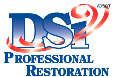 DSi Professional Restoration