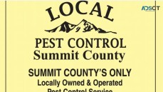 LOCAL PEST CONTROL