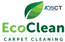 J&T Expert Carpet and Upholstery Cleaning