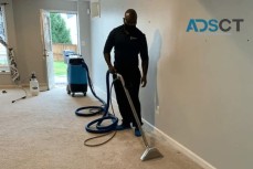 J&T Expert Carpet and Upholstery Cleaning