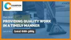 Champion Carpets And Rugs Cleaner