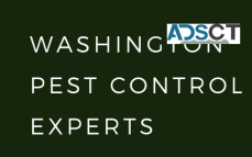 Washington Pest Control Experts