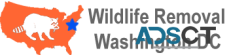 Wildlife Removal Washington DC