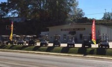 Putt-N-Around Golf Carts