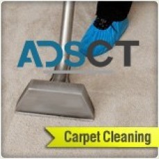 San Diego Carpet Cleaning CA