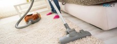 Carpet cleaning service