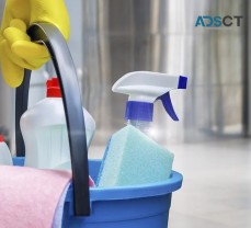 Aliza Cleaning Service