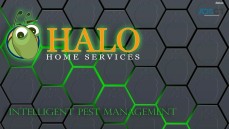 Halo Home Services