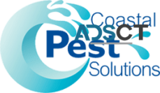 Coastal Pest Solutions