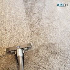 Steamway Carpet Care