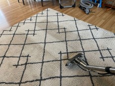 Premier Carpet Care