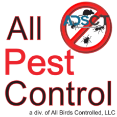 All Pest Control