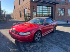 2002 Ford mustang Deluxe Convertible 2D