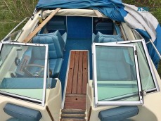 Sea Ray Runabout