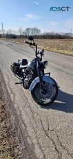 2004 Harley-Davidson fat boy