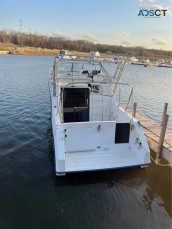 1991 Shark Boat Co. 35ft