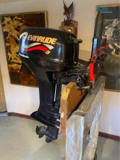 Evinrude 5hp outboard motor