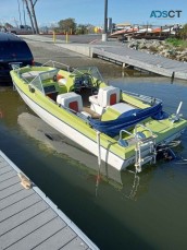 1973 Marlin mercury cruiser