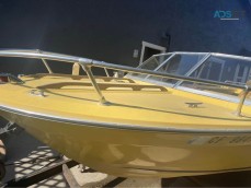 1973 fish boat project