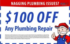 Mr. Plumber,