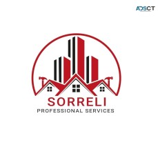 Sorreli Professional Services