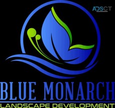  Blue Monarch